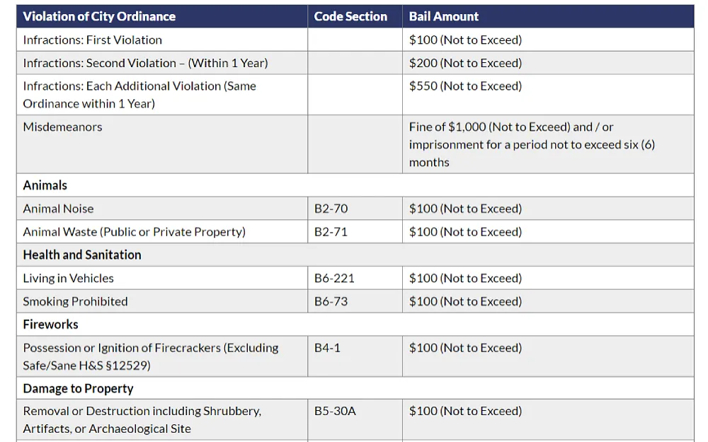 Screenshot showing the city ordinance bail amount violation and code section, such as infractions for each additional violation, first and second violations, misdemeanors, animal noise, waste, health and sanitation, etc.